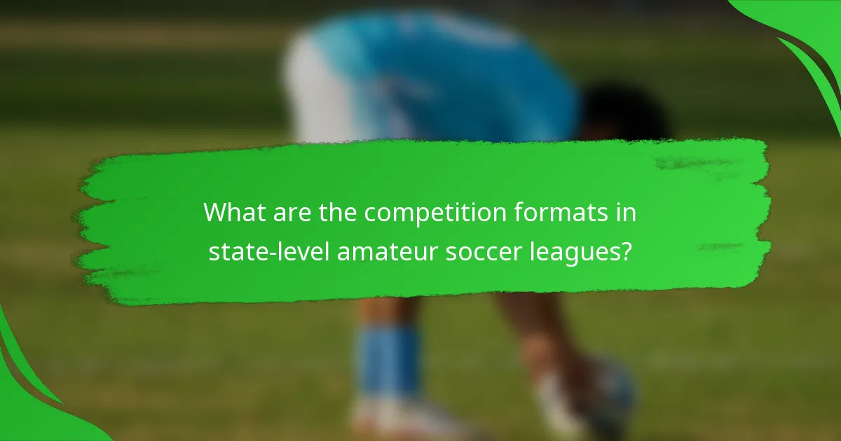 What are the competition formats in state-level amateur soccer leagues?